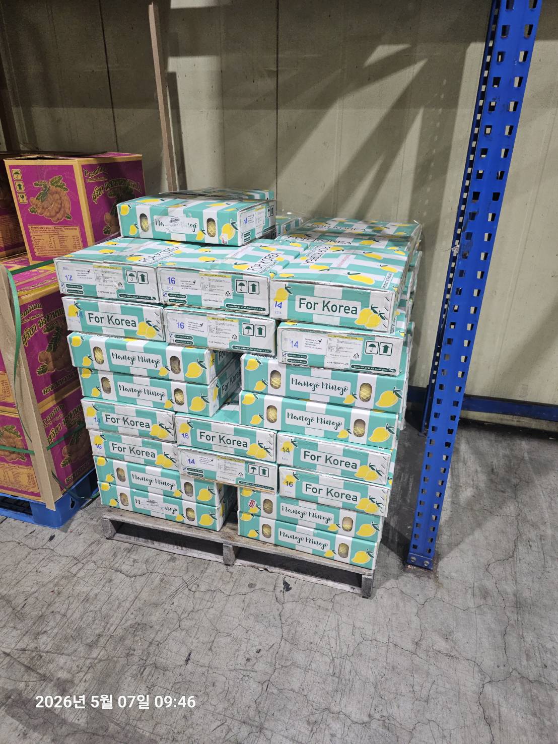 MangoMingo mango box